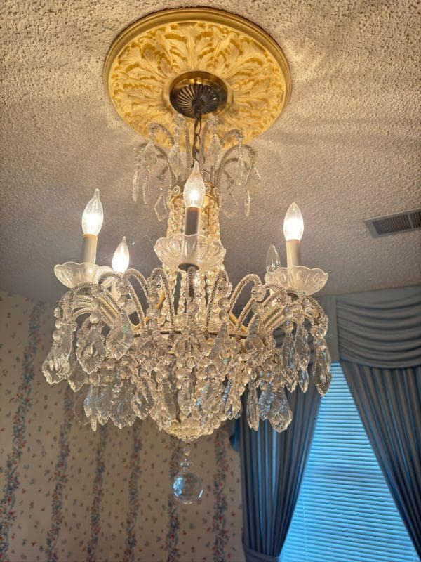 AMAZING Antioch Estate Sale