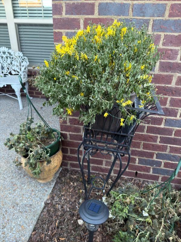 50% OFF SUNDAY!! Gallatin Estate Sale: Furniture, Purses, Chevy Equinox, and More!